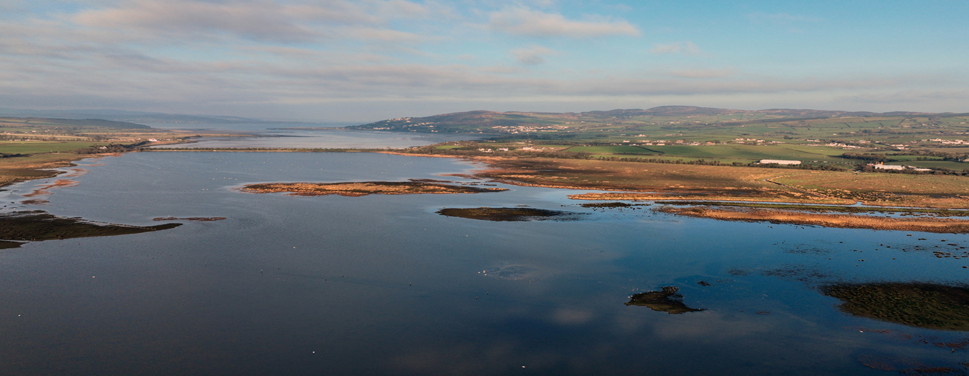 [wpml-string context="inch" name="title"]INCH WILDFOWL RESERVE[/wpml-string]