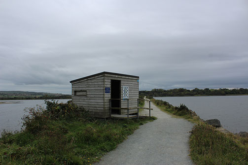 Farland Bank Hide